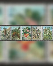 Spain 1972. Shrubs in bloom