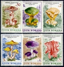 Mushroom set - ROMANIA - Issue date 08/15/1986 - MINT **